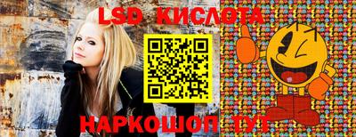 спиды Краснознаменск