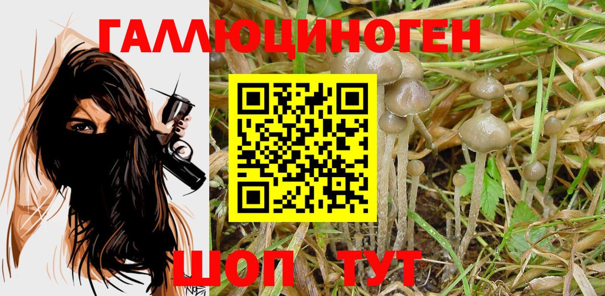 Псилоцибиновые грибы ЛСД  Псилоцибиновые грибы Psilocybine cubensis  Вход с VPN  купить  сайты  Кисловодск 