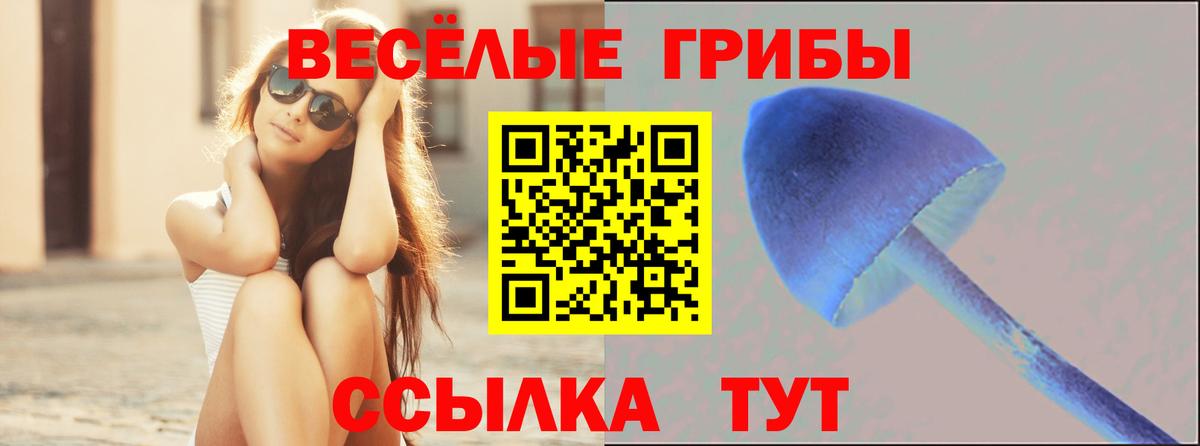 Галлюциногенные грибы Magic Shrooms Кисловодск